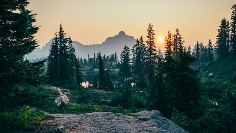Bergpanorama bei Sonnenaufgang mit Nadelwald, Nebel im Tal und kleinem Bergsee